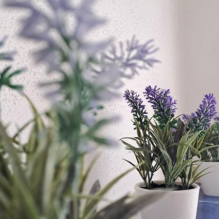 La Tappa Del Vignaiolo Home مامويادا المظهر الخارجي الصورة