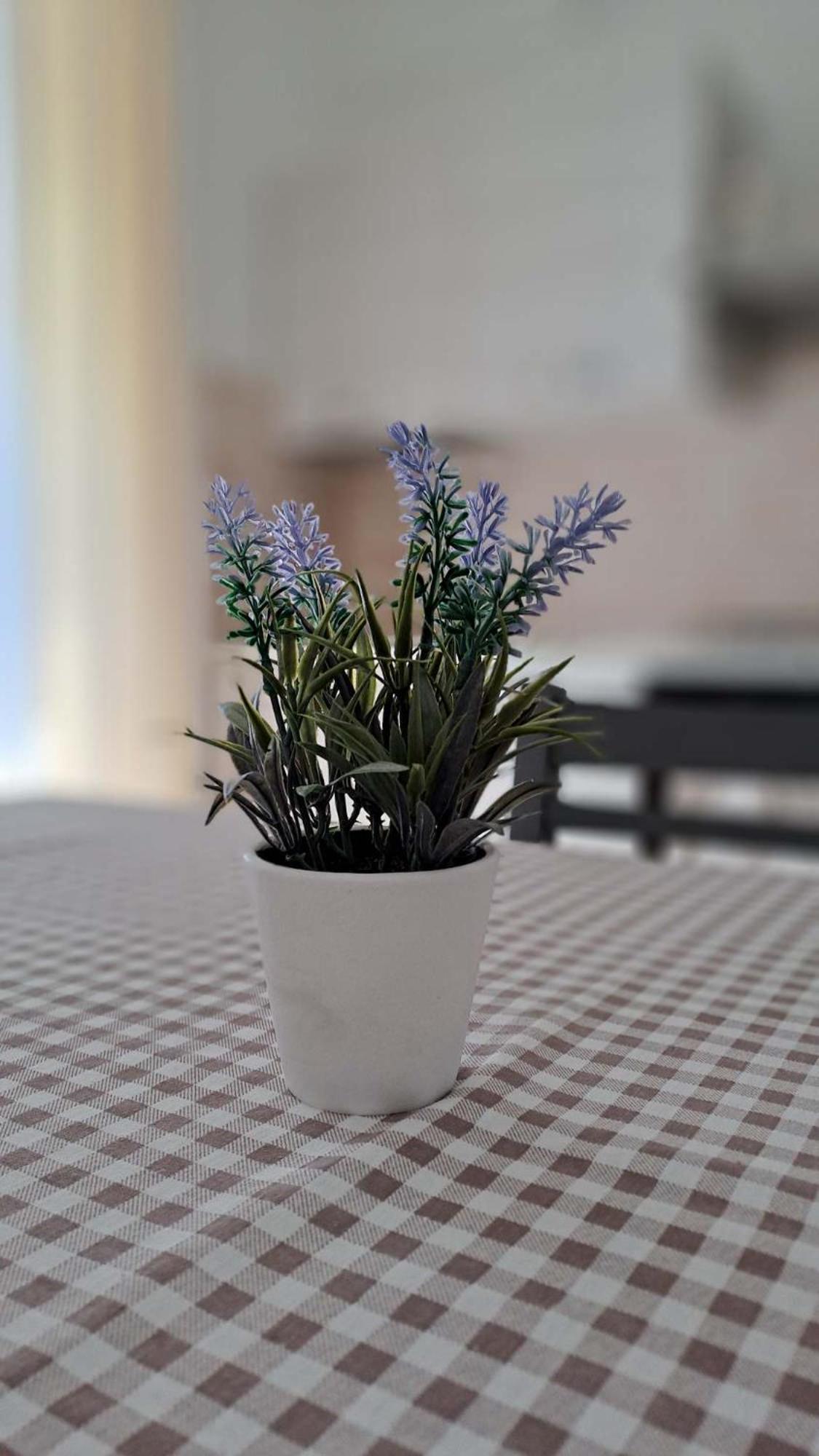 La Tappa Del Vignaiolo Home مامويادا المظهر الخارجي الصورة